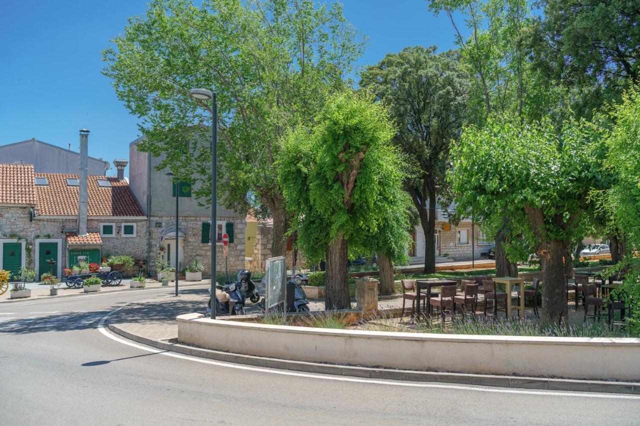 Sidonija Vodice